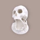Skull Dice Tower thumbnail