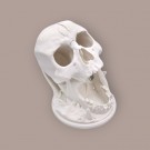 Skull Dice Tower thumbnail