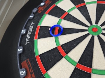 Dart Practice Rings